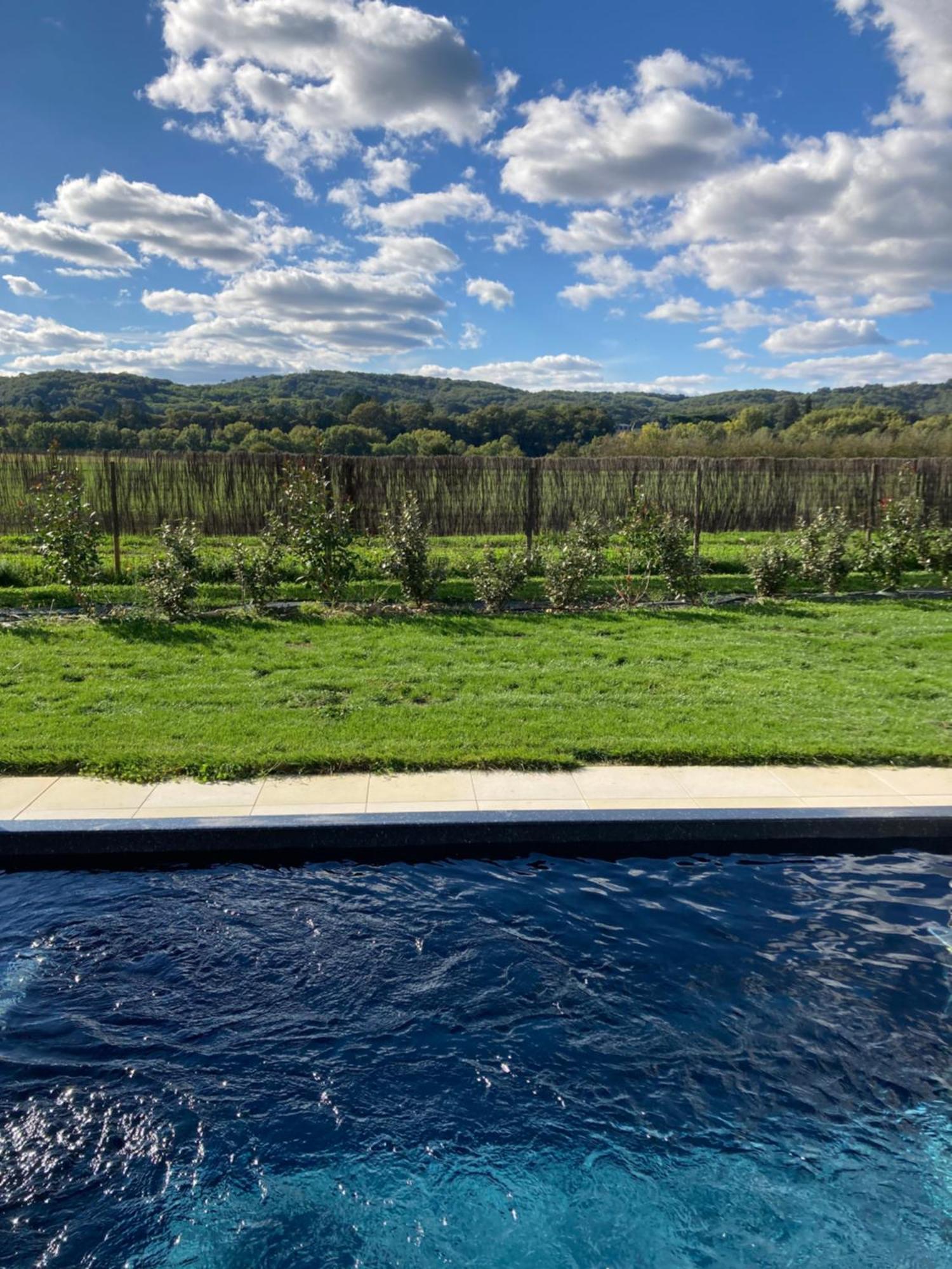 La Plaine Aux Etoiles - Maison Individuelle Avec Piscine Balneo Privative Et Jardin Domme Exteriör bild